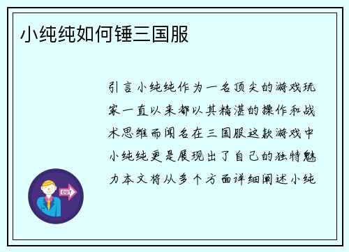 小纯纯如何锤三国服